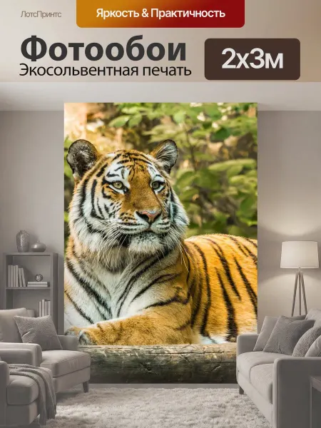 LotsPrints Фотообои "Тигр, большой кот, опасный" 2x3м
