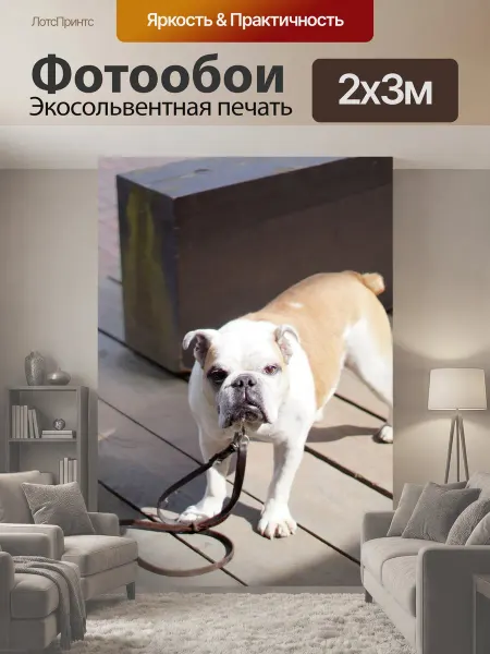 LotsPrints Фотообои "Собака, бульдог, животное" 2x3м