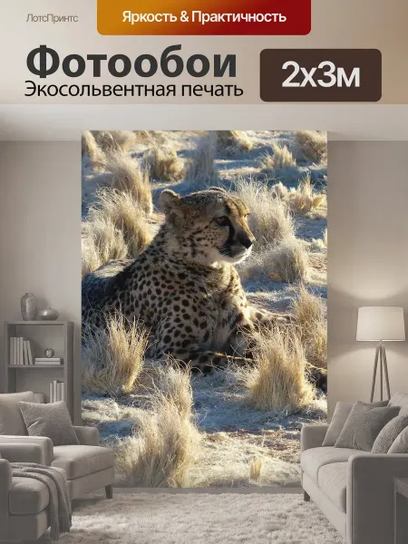 LotsPrints Фотообои "Гепард, намибия, сафари" 2x3м