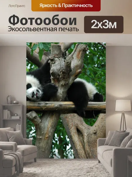 LotsPrints Фотообои "Гигантская панда, янг, животное" 2x3м