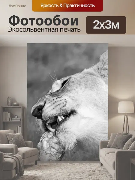 LotsPrints Фотообои "Кормление львица, лев, дикая природа" 2x3м