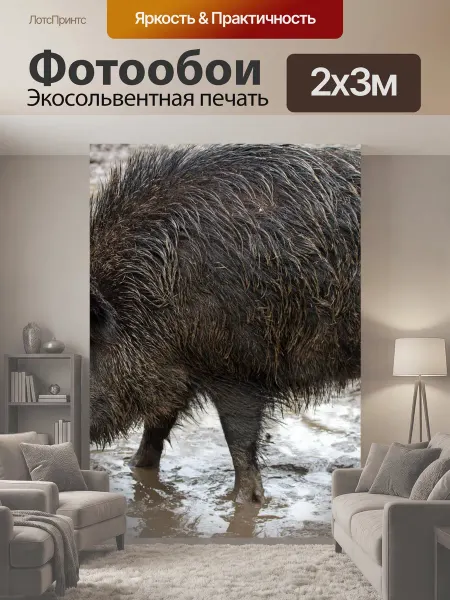 LotsPrints Фотообои "Дикий, дикие кабаны, лес" 2x3м