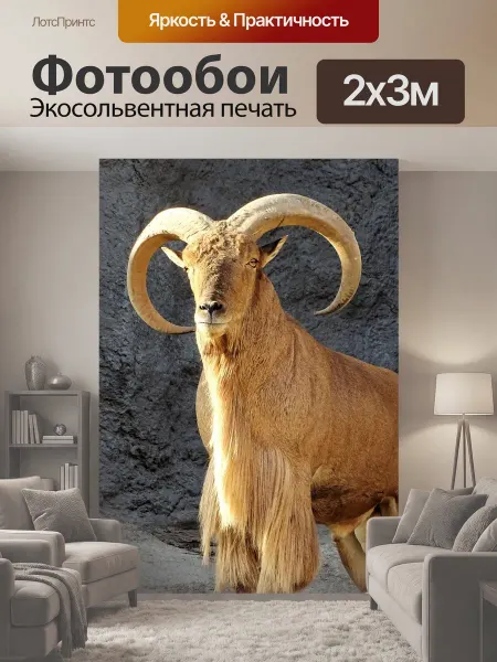 LotsPrints Фотообои "Дикий козел, козел, животное" 2x3м