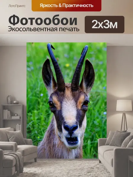 LotsPrints Фотообои "Животное, серна, дикое животное" 2x3м