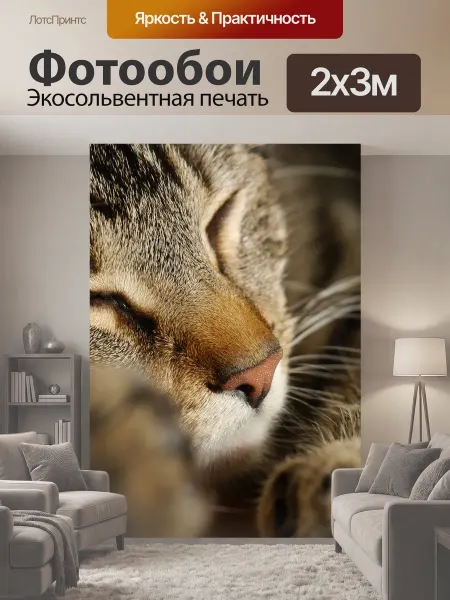 LotsPrints Фотообои "Кот, лапа, домашнее животное" 2x3м