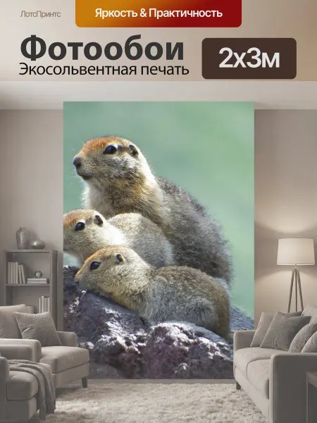 LotsPrints Фотообои "Евражки, суслики, семейство" 2x3м