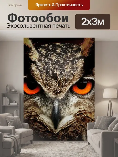 LotsPrints Фотообои "Сова, птица, животное" 2x3м