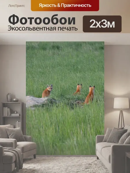 LotsPrints Фотообои "Природа, животные, лиса" 2x3м