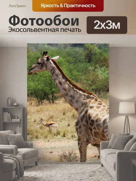 LotsPrints Фотообои "Жирафы, захватывающие, приключение" 2x3м