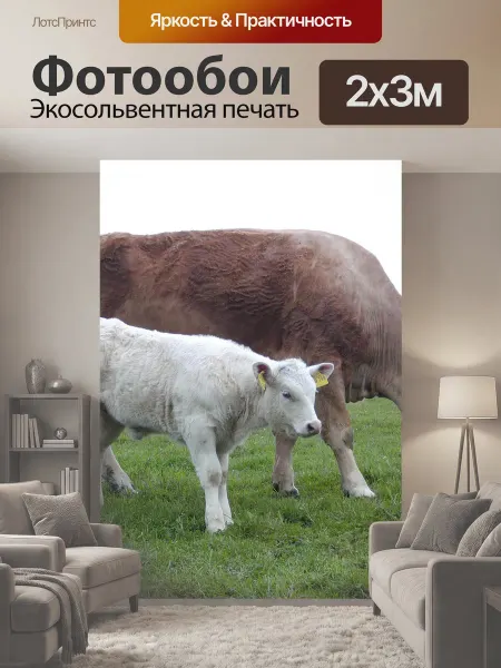 LotsPrints Фотообои "Корова, луг, коровы" 2x3м