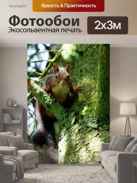 LotsPrints Фотообои "Белка, природа, лес" 2x3м