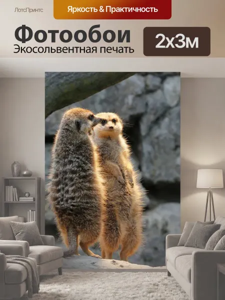 LotsPrints Фотообои "Сурикат, осторожно, хранитель" 2x3м