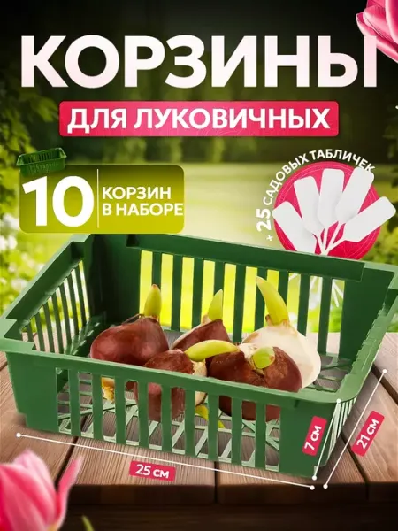 KOMPLEKT PLASTIK корзина для луковичных растений 25х21х7 10шт