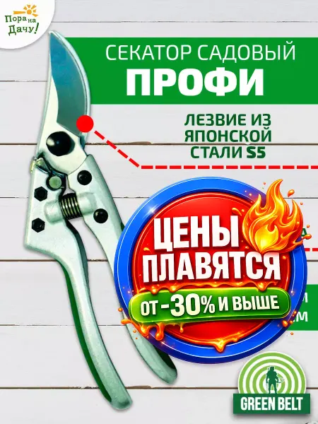 ГРИН БЭЛТ Секатор садовый Профи из нержавеющей стали, 1 шт кусторез