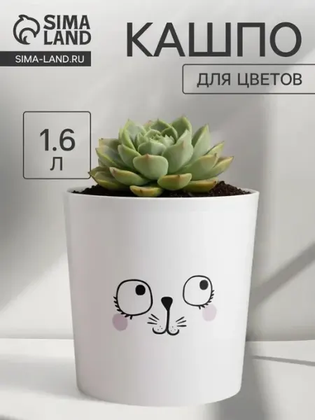 Современное пластиковое кашпо для ярких цветов