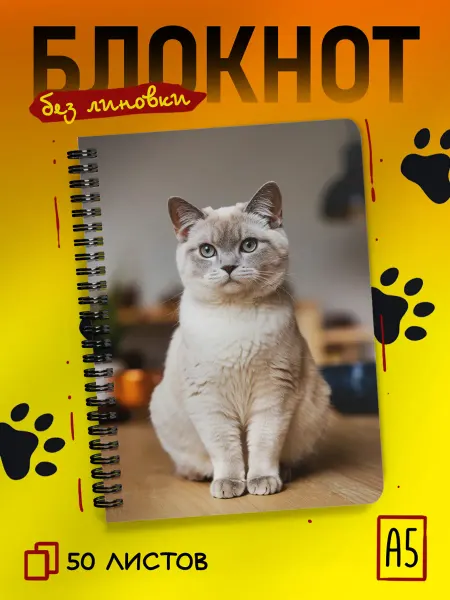 ДомПодарков Блокнот с котом А5 без линовки