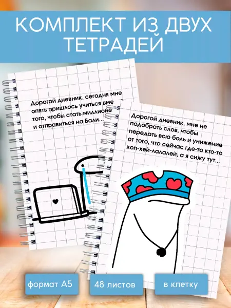 Сочиняй мечты Набор тетрадей общих на пружине 2 шт