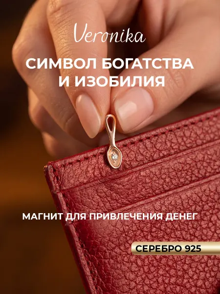 Veronika Ложка загребушка кошельковая серебро 925