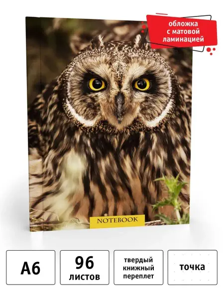 Academy style Записная книжка А6 96 л. в точку, резинка, матовая ламинация