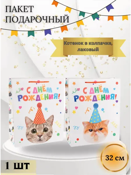 Дон Баллон Подарочный пакет Котенок в колпачке Лаковый 32*26*12 см