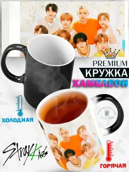 TrendCups Кружка хамелеон Stray Kids Стрей кидс