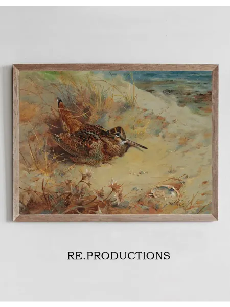 Re.productions Постер Woodcock sheltering in the - Archibald Thorburn