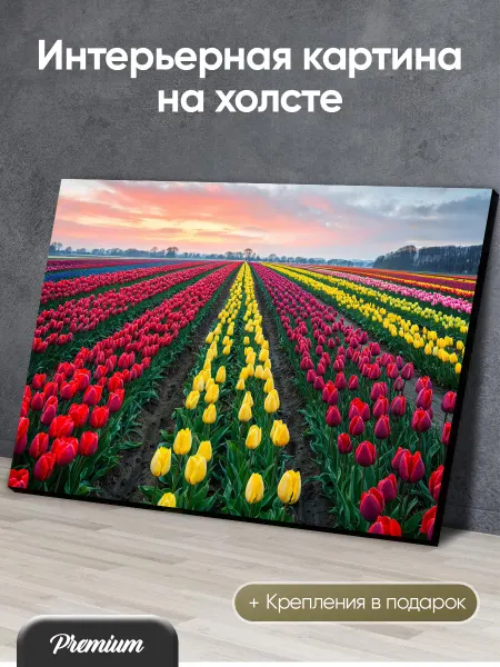 HitArt Картина на холсте Поле тюльпанов в Нидерландах