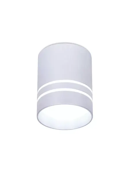 AMBRELLA LIGHT Светильник потолочный Ambrella Techno Spot, TN241, 12W, IP20