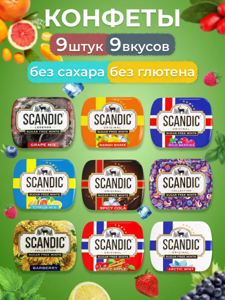 SCANDIC Скандик конфеты драже без сахара 9 штук