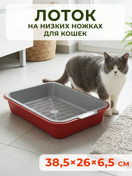 Зооэкспресс Лоток туалет для кошек Адам на низких ножках 38,5х26х6,5 см