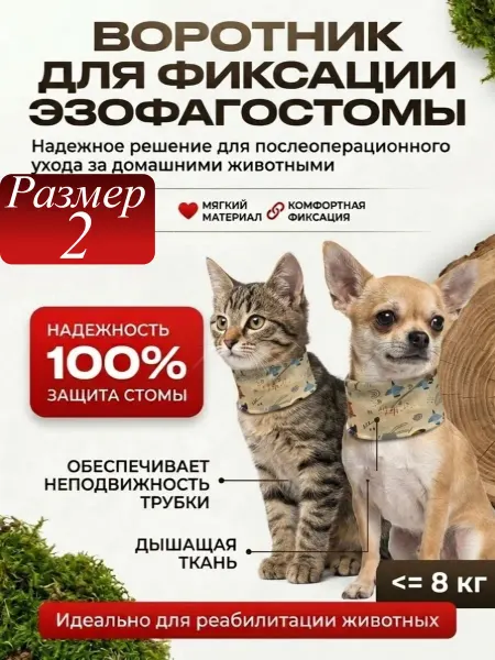 ZOOтекстиль Воротник бандаж для животных с эзофагостомой размер 2