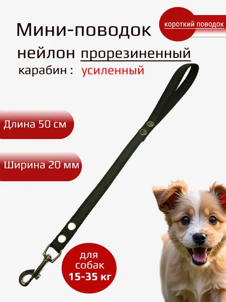 Хвостатыч Мини-поводок для собак нейлон прорезиненный 50 см х 20 мм (ч…