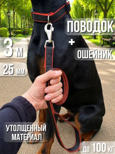 Dog's Paradise Поводок для собак 3 м х 25 мм ошейник для собак комплект