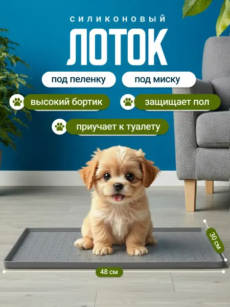 Animal Trays World Лоток силиконовый для собак под пеленку 48 на 30 см
