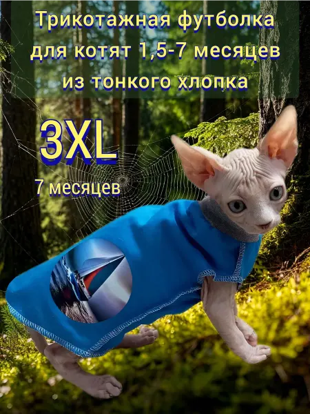 АNY PET Футболка-майка для котят хлопок 3XL