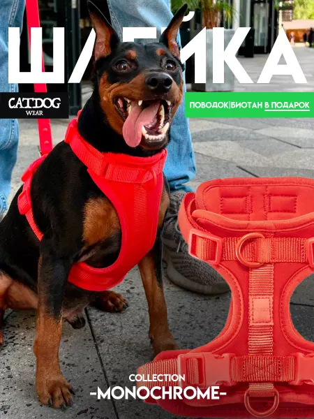 CATDOG wear Шлейка для собак мелких пород с поводком анатомическая