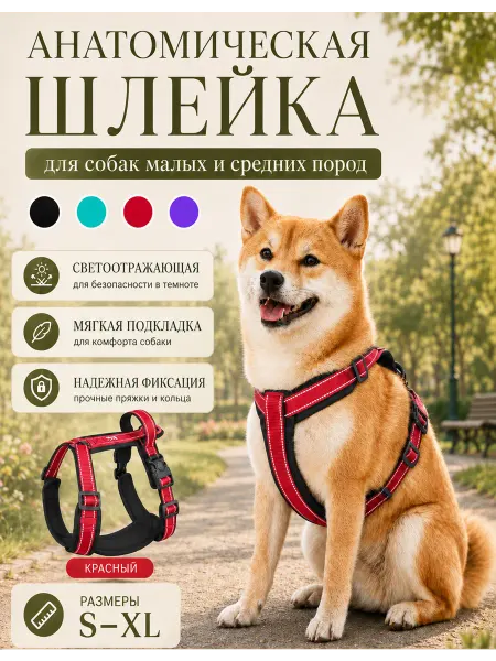 DUOMM Шлейка анатомическая для собак средних и крупных пород