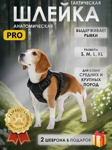 FLYS Профессиональная шлейка для собак тактическая