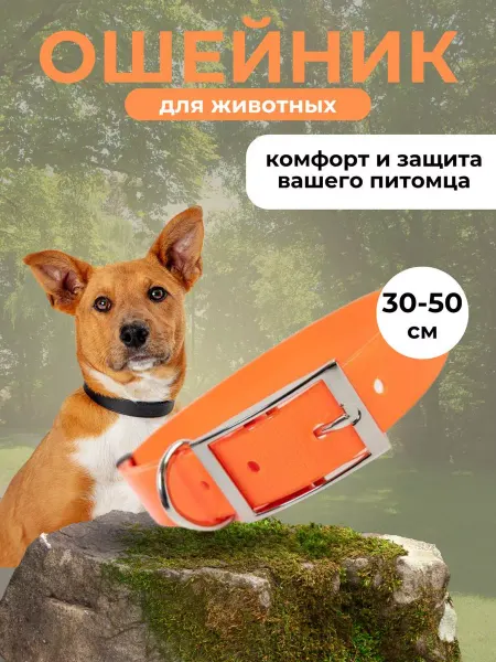 GMW Ошейник для собак и кошек 30-50 см