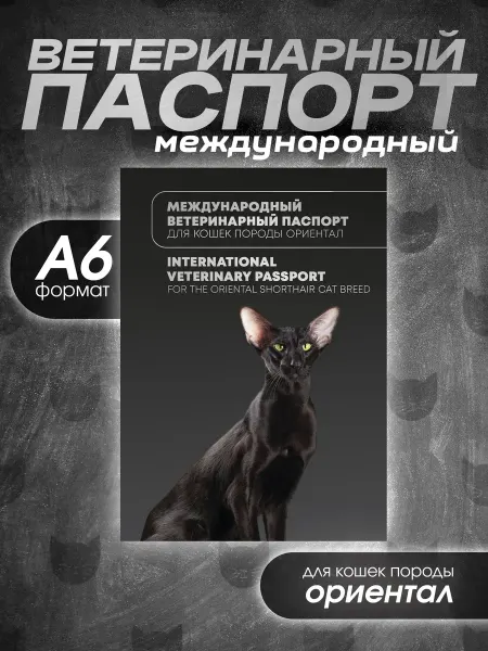 Veterinary Passports Works Ветеринарный паспорт для кошек породы ориентал