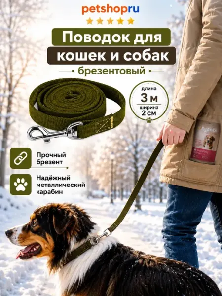 Yami-Yami Брезентовый поводок с карабином