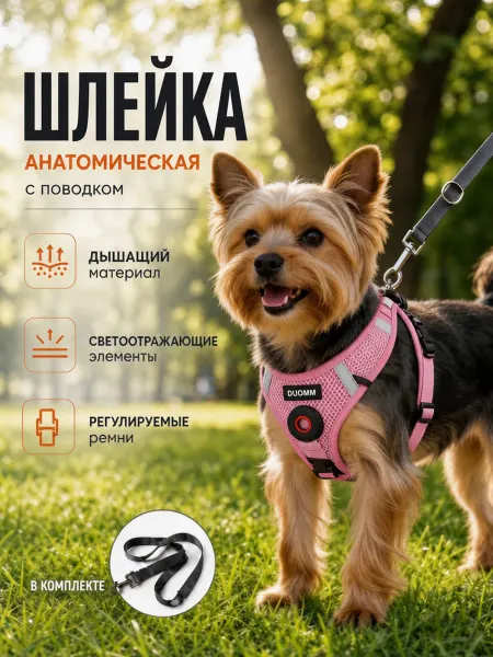 Шлейка для собак мелких пород амуниция анатомическая