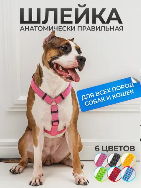 АРКОН Яркая шлейка из нейлона для животных
