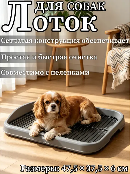 Лоток для собак удобный сетчатый безопасный легко мыть