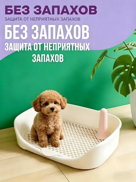 Кошачий лоток с высокими бортами