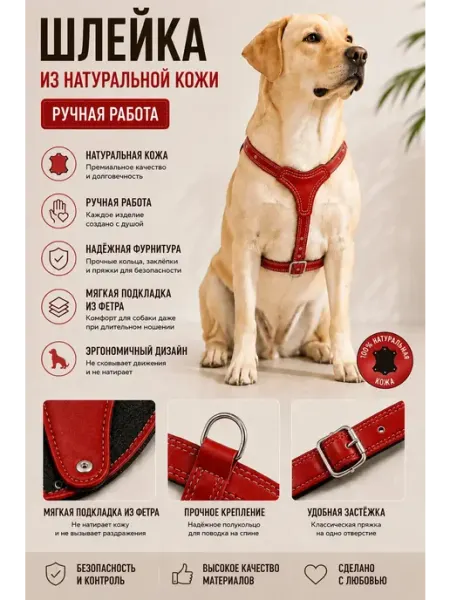 Юг-Амуниция Шлейка для собак из натуральной кожи