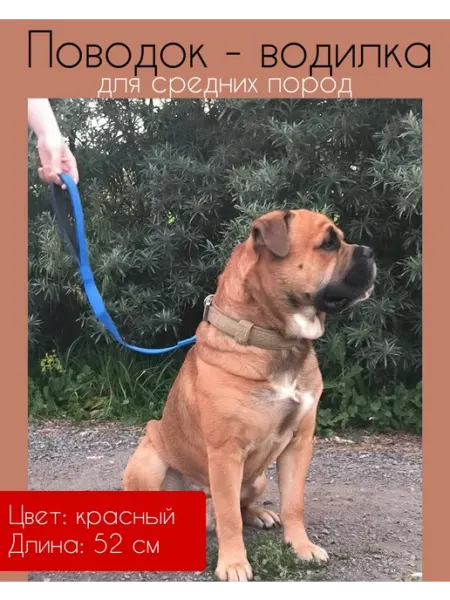 Короткий поводок для средних и крупных собак КРАСНЫЙ