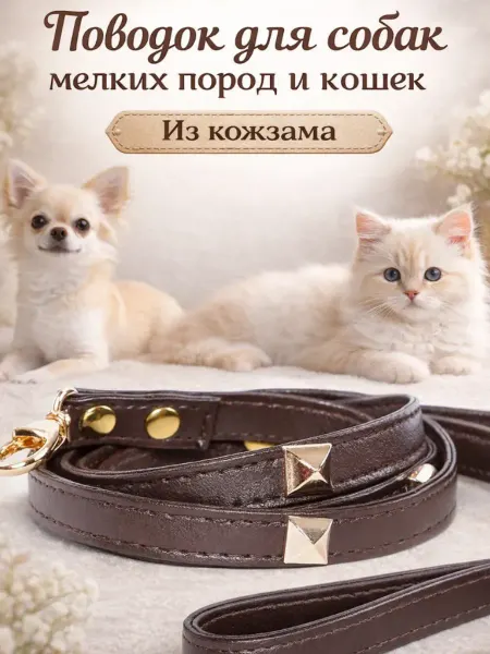 Поводок для собак мелких пород и для кошек