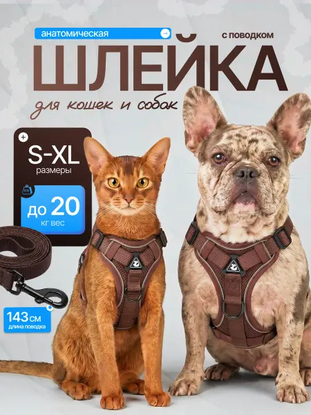 Шлейка для собак мелких средних и крупных пород с поводком