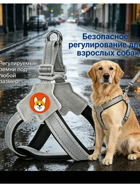 Купите удобную шлейку для собаки